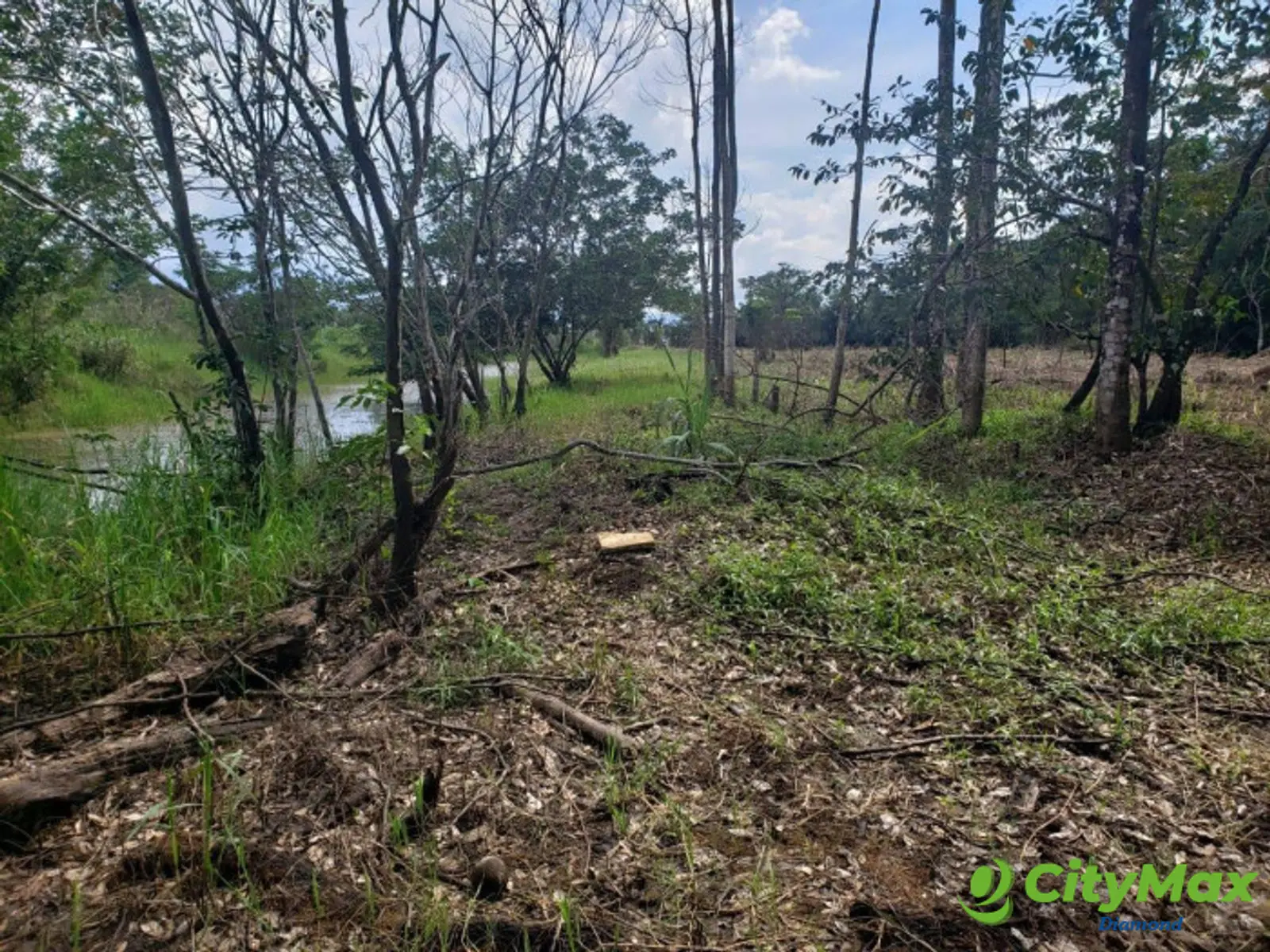 VENTA 2 Manzanas orilla lago de Izabal Livingston - foto 4