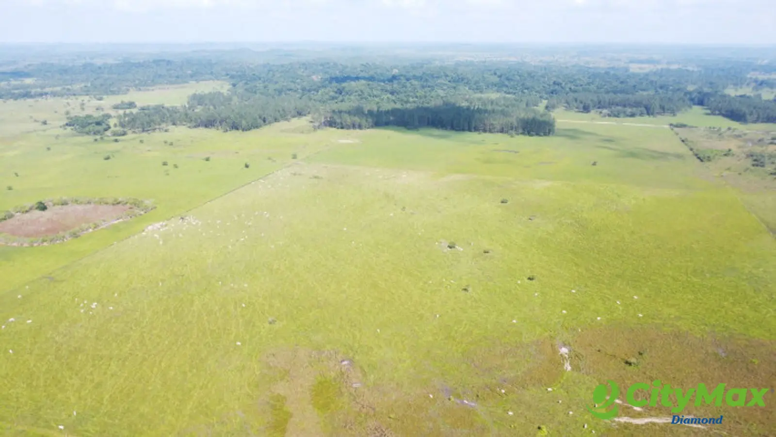 Finca de 4,876 manzanas en Venta en Petén - foto 20