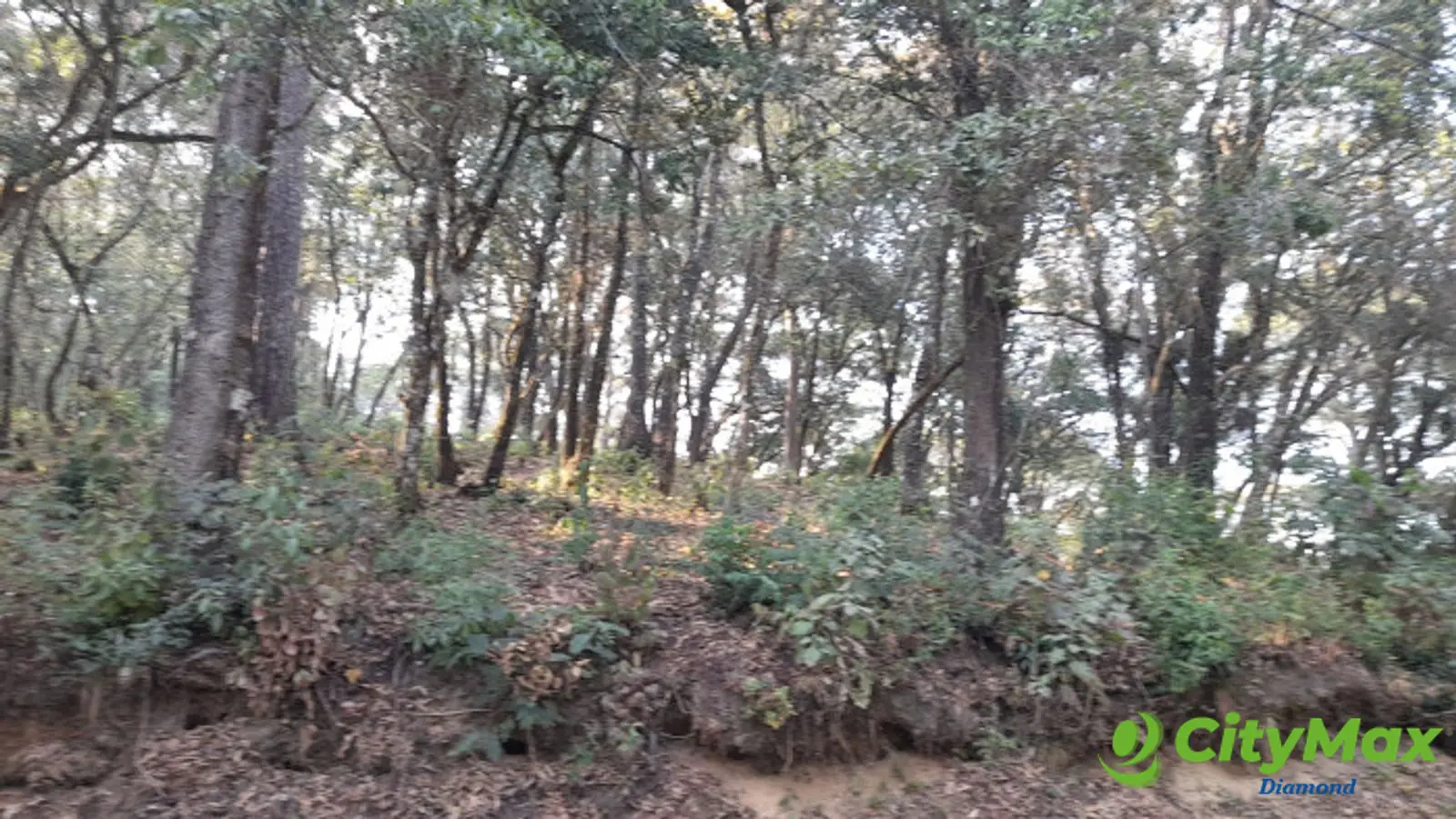 Terreno en Venta en El Encinal Zona 7 Mixco - foto 12