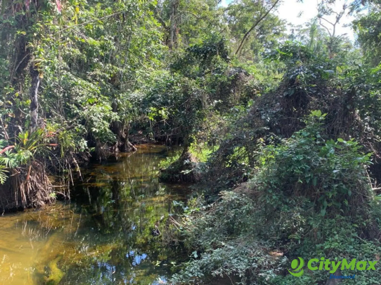 Finca de 4,876 manzanas en Venta en Petén - foto 9