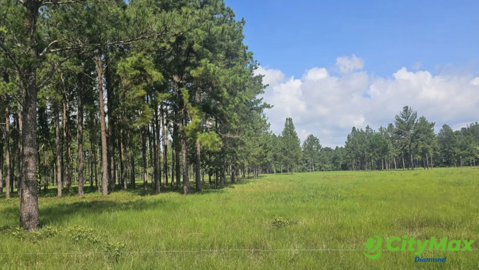 Finca de 4,876 manzanas en Venta en Petén - foto 11