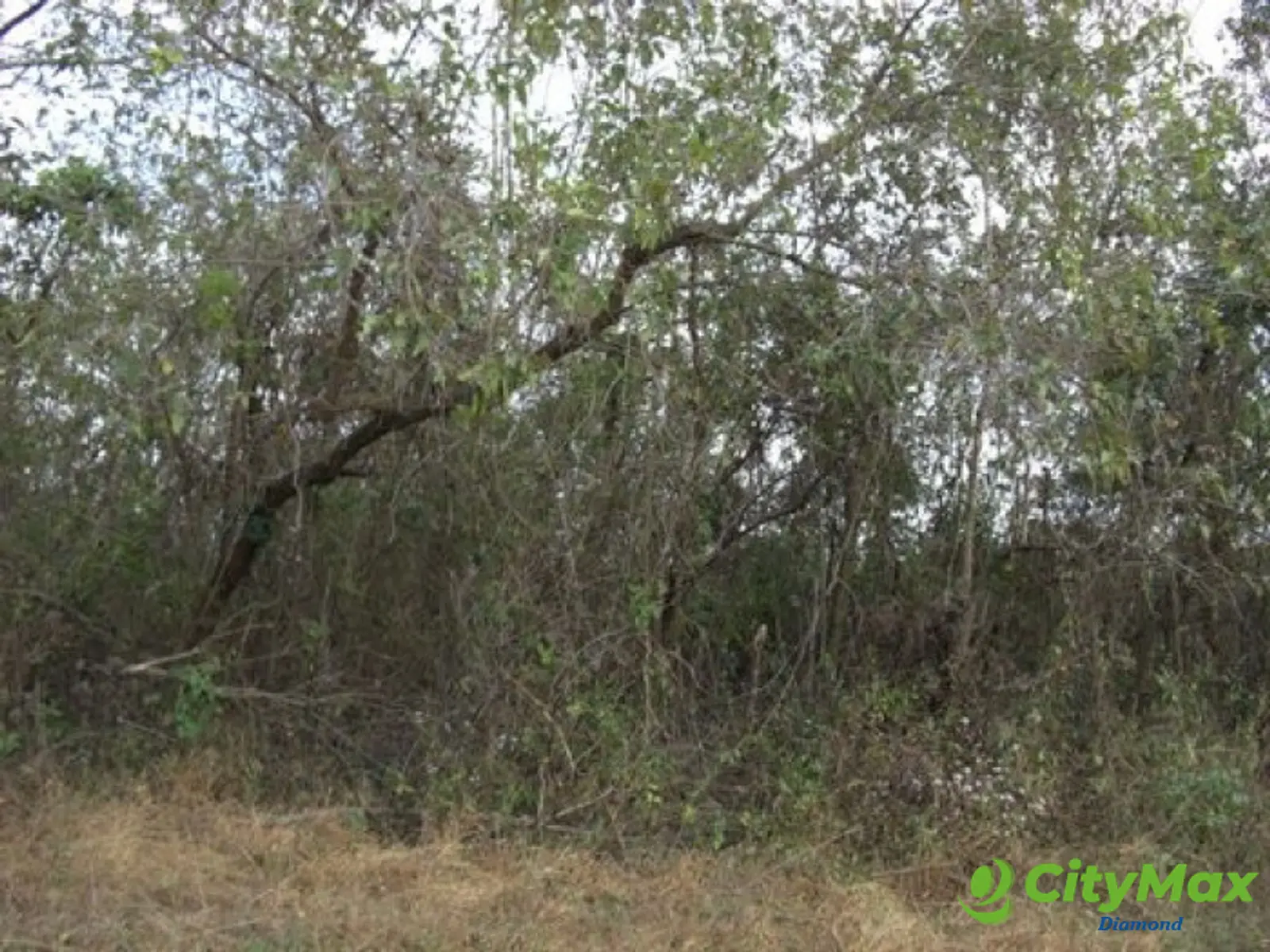 Terreno residencial en venta km. 23 Carr. al Salvador - foto 5