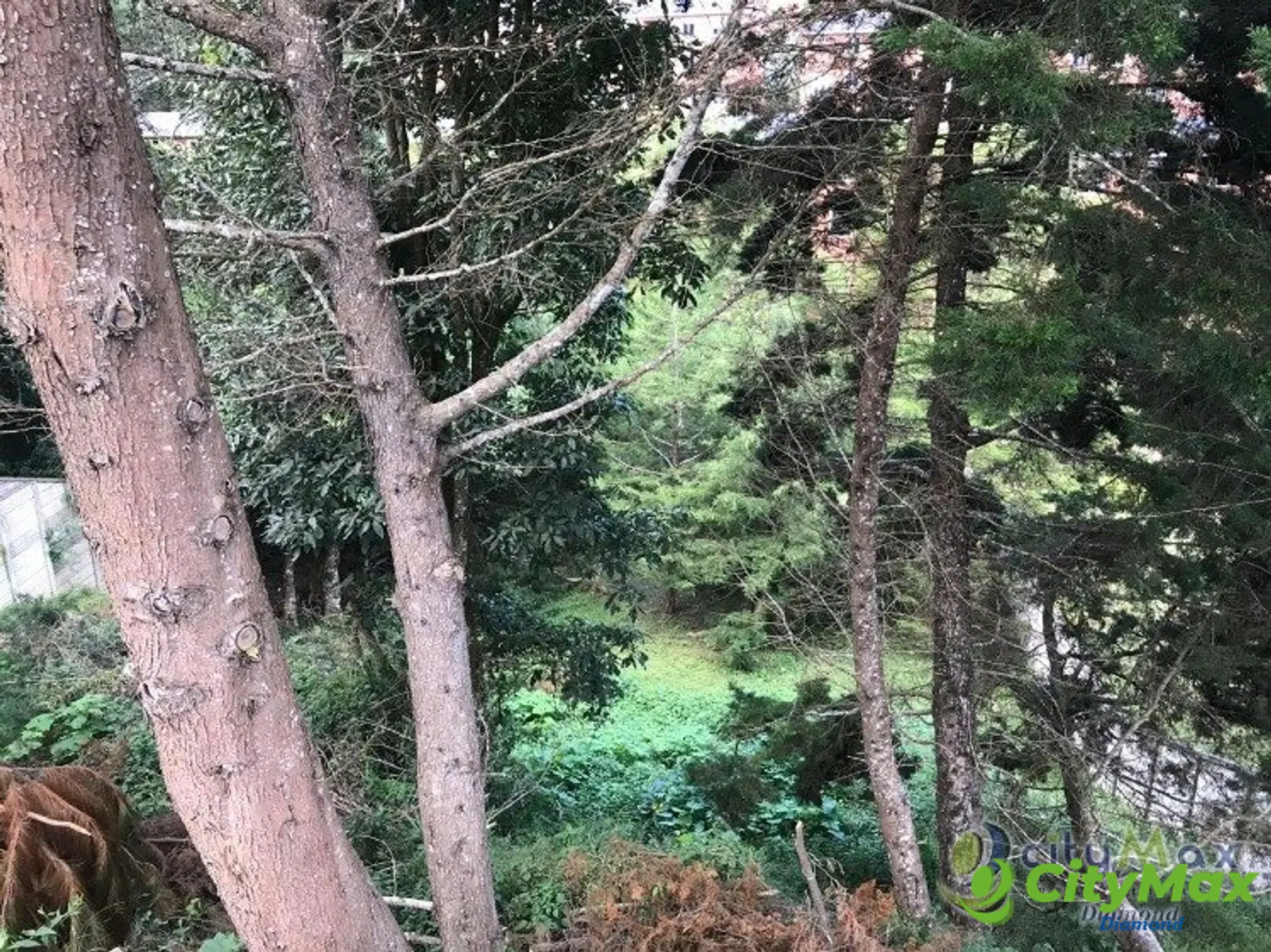 VENTA TERRENO EN BOSQUES DE LAS LUCES - foto 10