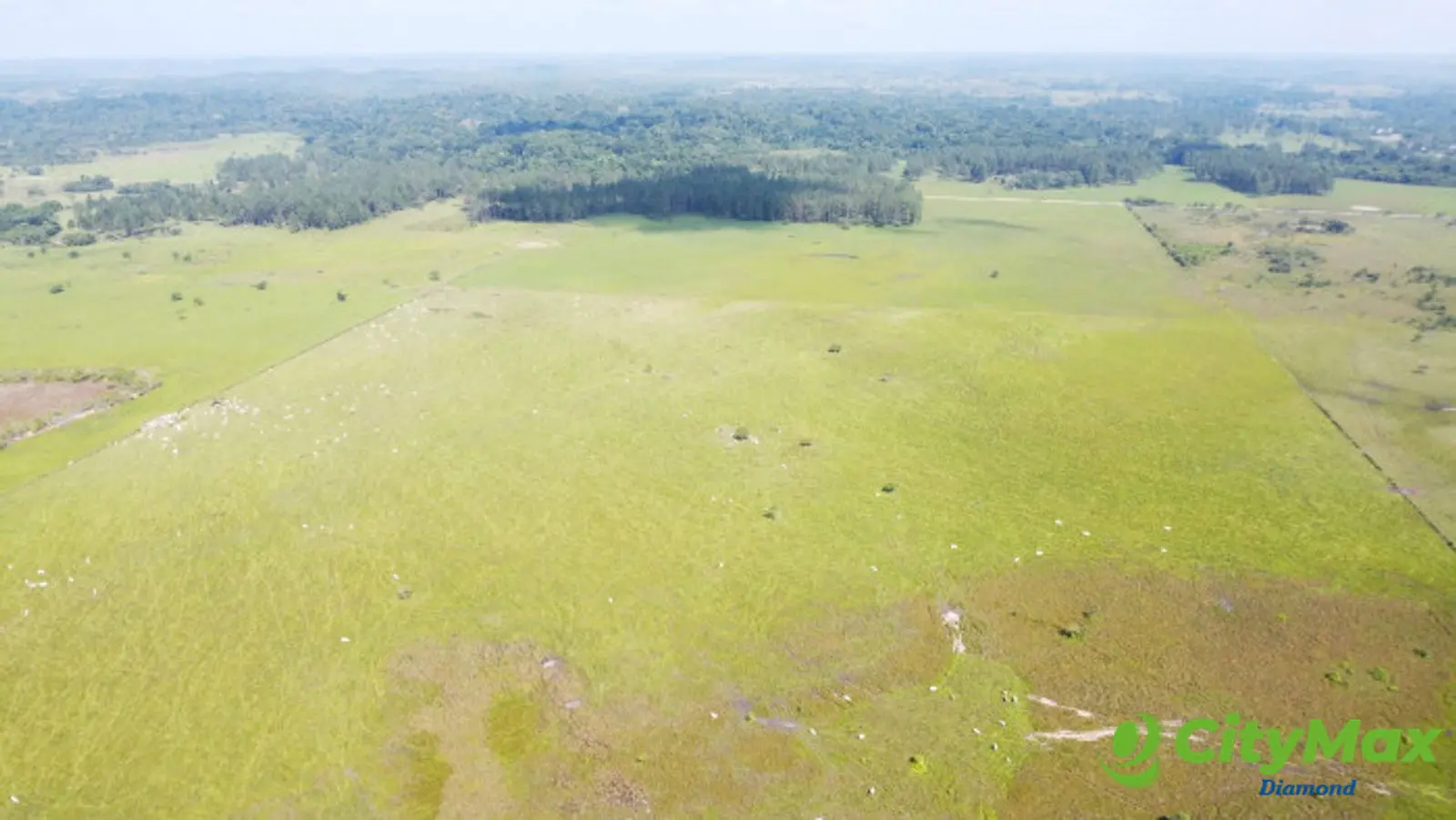Finca de 4,876 manzanas en Venta en Petén - foto 21