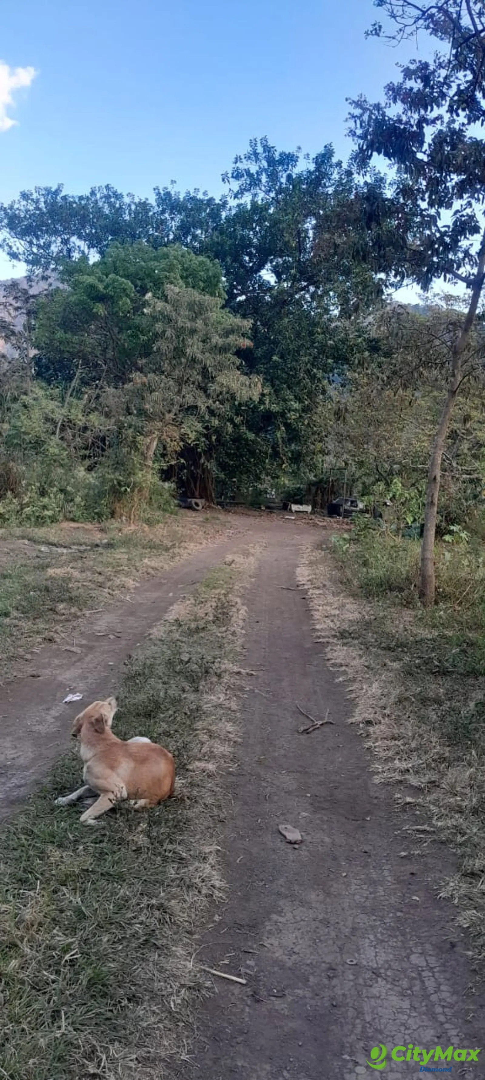 Amplio Terreno en Venta en Palín Escuintla - foto 7