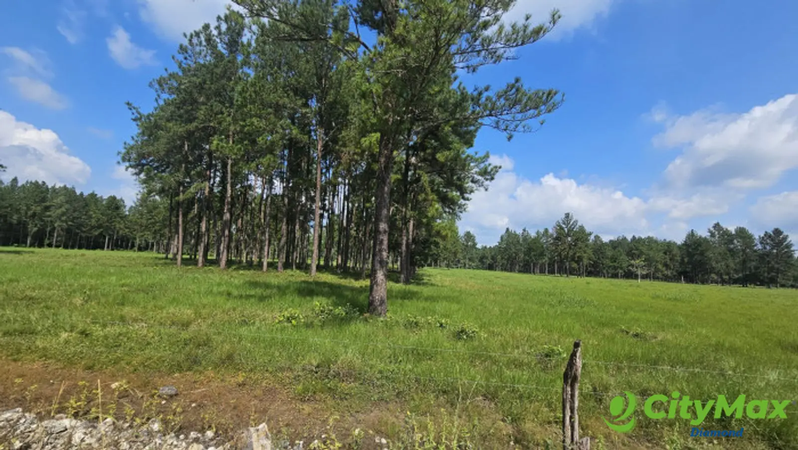 Finca de 4,876 manzanas en Venta en Petén - foto 12