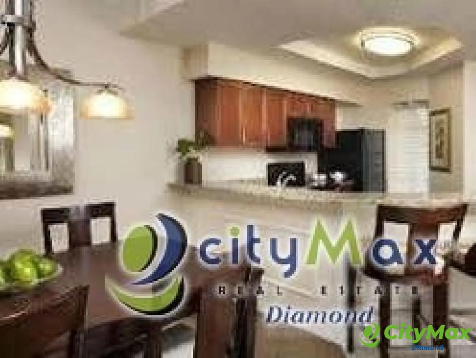 Vendo Villa en Lake Buena Vista Miami USA - foto 12
