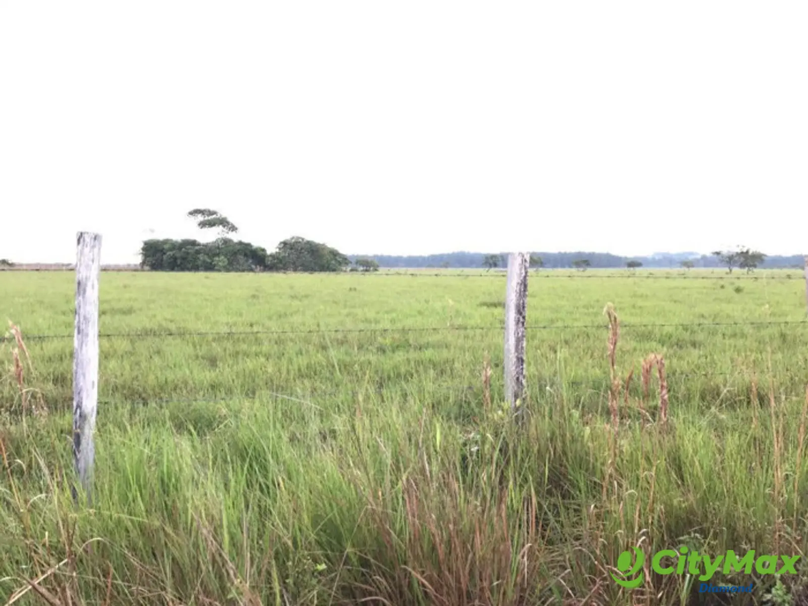 Finca de 4,876 manzanas en Venta en Petén - foto 7
