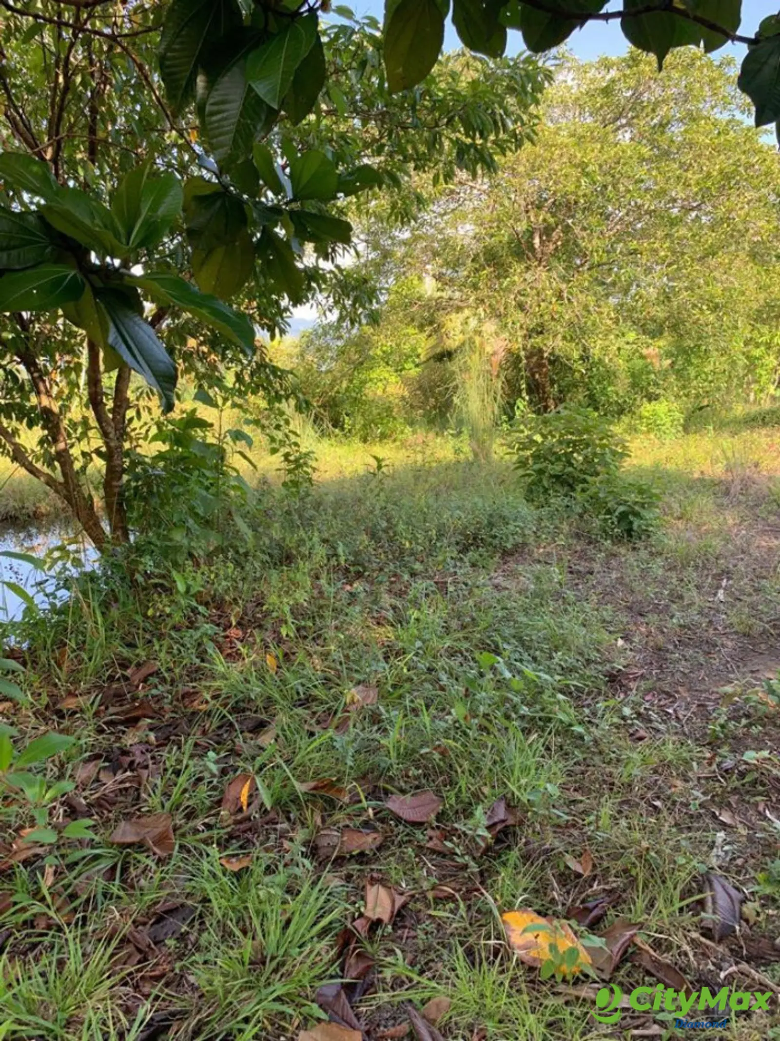 VENTA 2 Manzanas orilla lago de Izabal Livingston - foto 5
