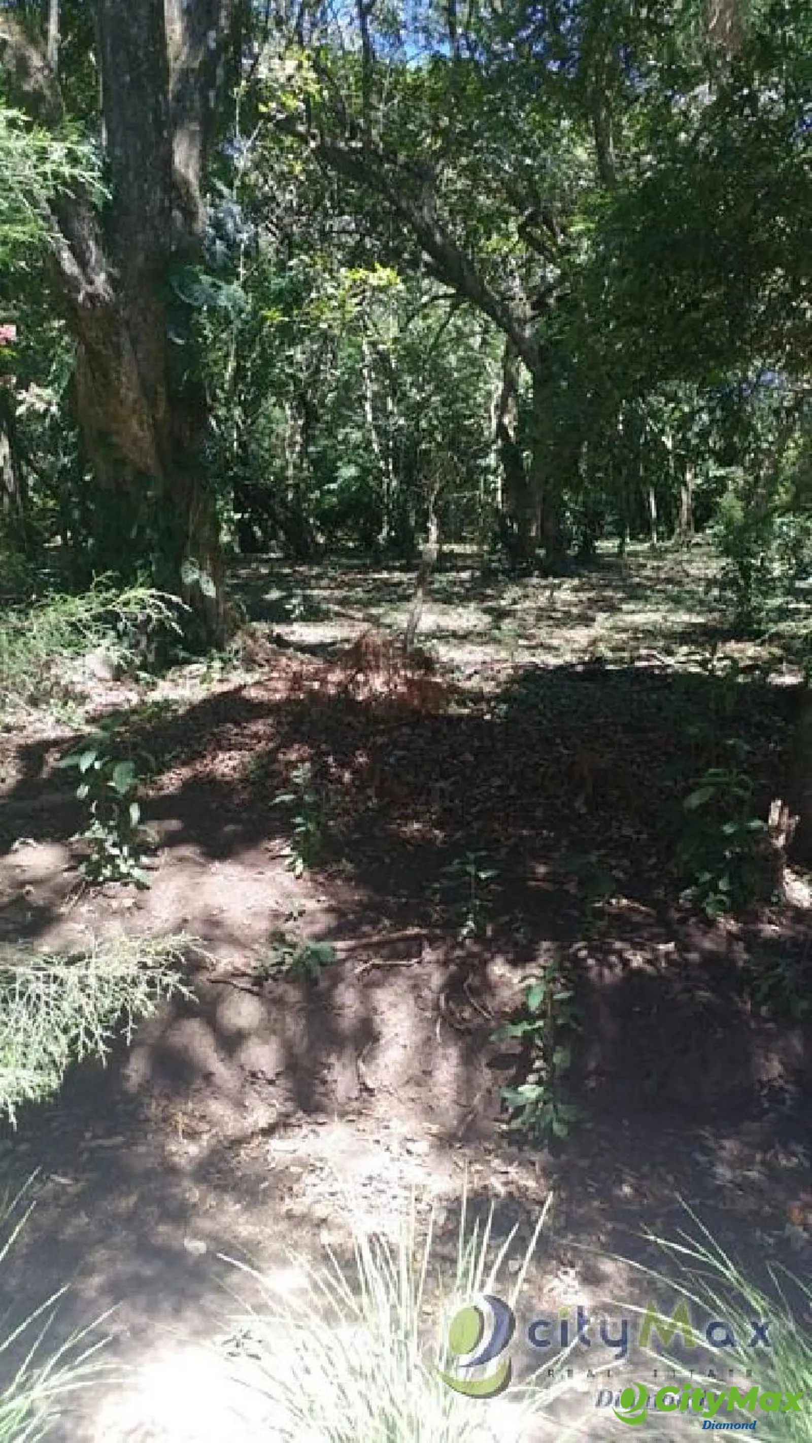 Terreno en Fraijanes KM 20.5 Carretera al Salvador - foto 4