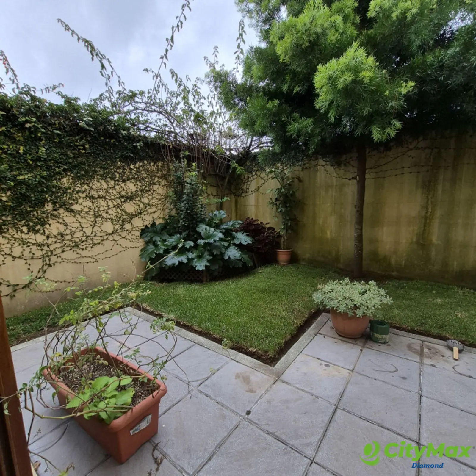 Casa en renta y venta Cumbres de La Arboleda km 21 CAES - foto 24