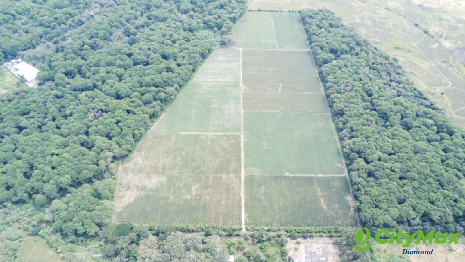 Finca de 17 Manzanas Planas en Venta en CAES Jocotillo - foto 12