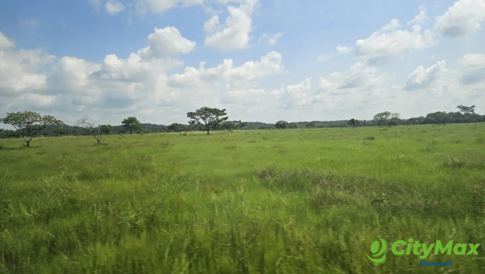 Finca de 4,876 manzanas en Venta en Petén - foto 15