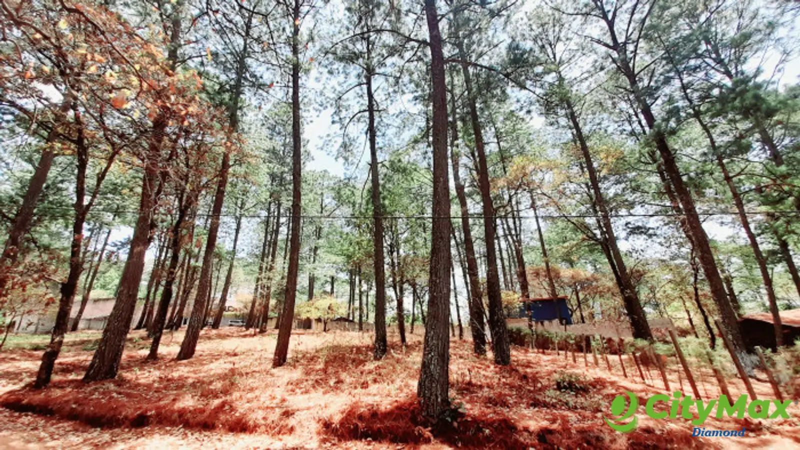 Terreno en Venta en Santo Domingo Xenacoj Sacatepequez - foto 4