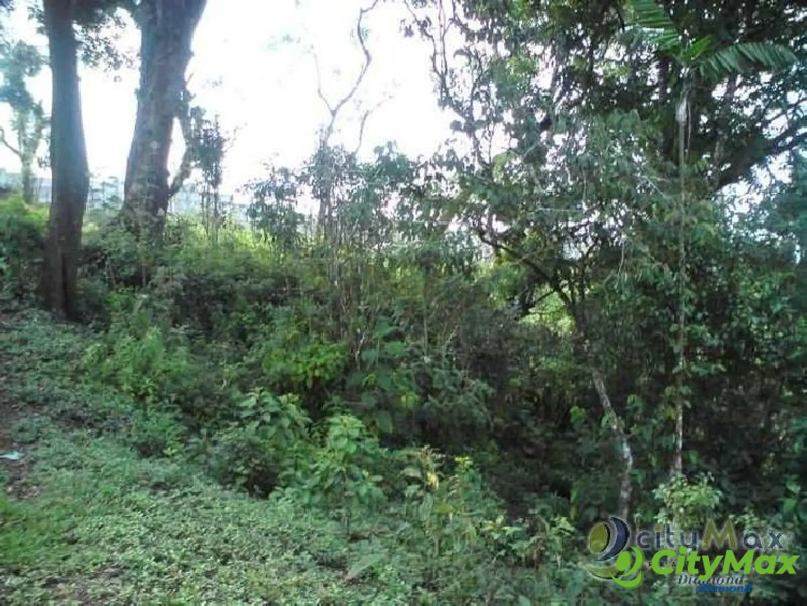 Venta Terreno en Aldea La Cumbre Villa Canales - foto 4