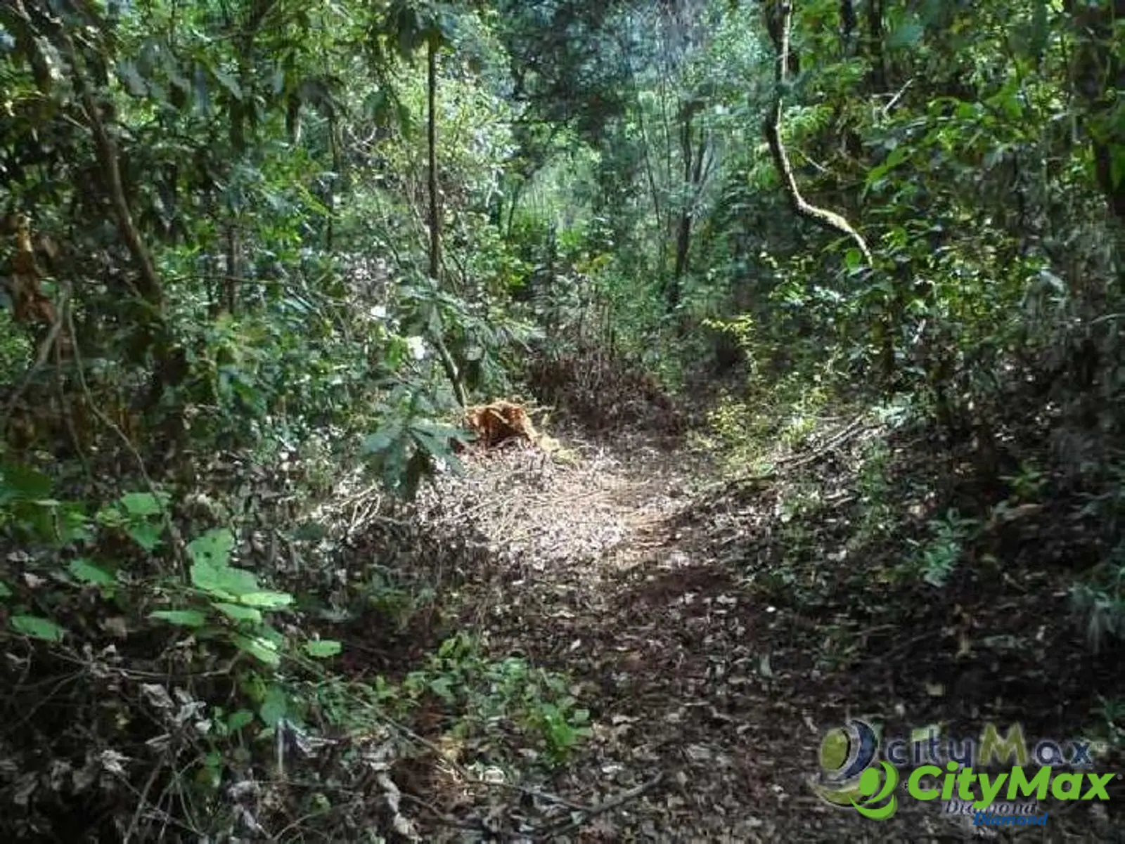 Venta Terreno en Aldea La Cumbre Villa Canales - foto 5