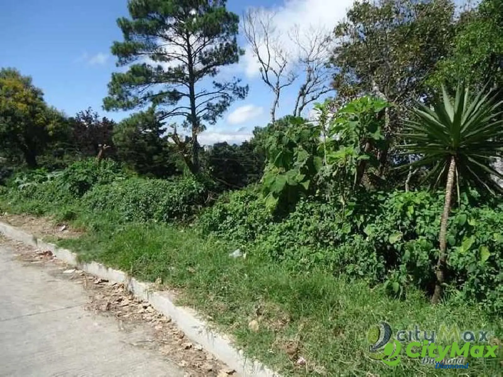 Venta Terreno en Aldea La Cumbre Villa Canales - foto 6