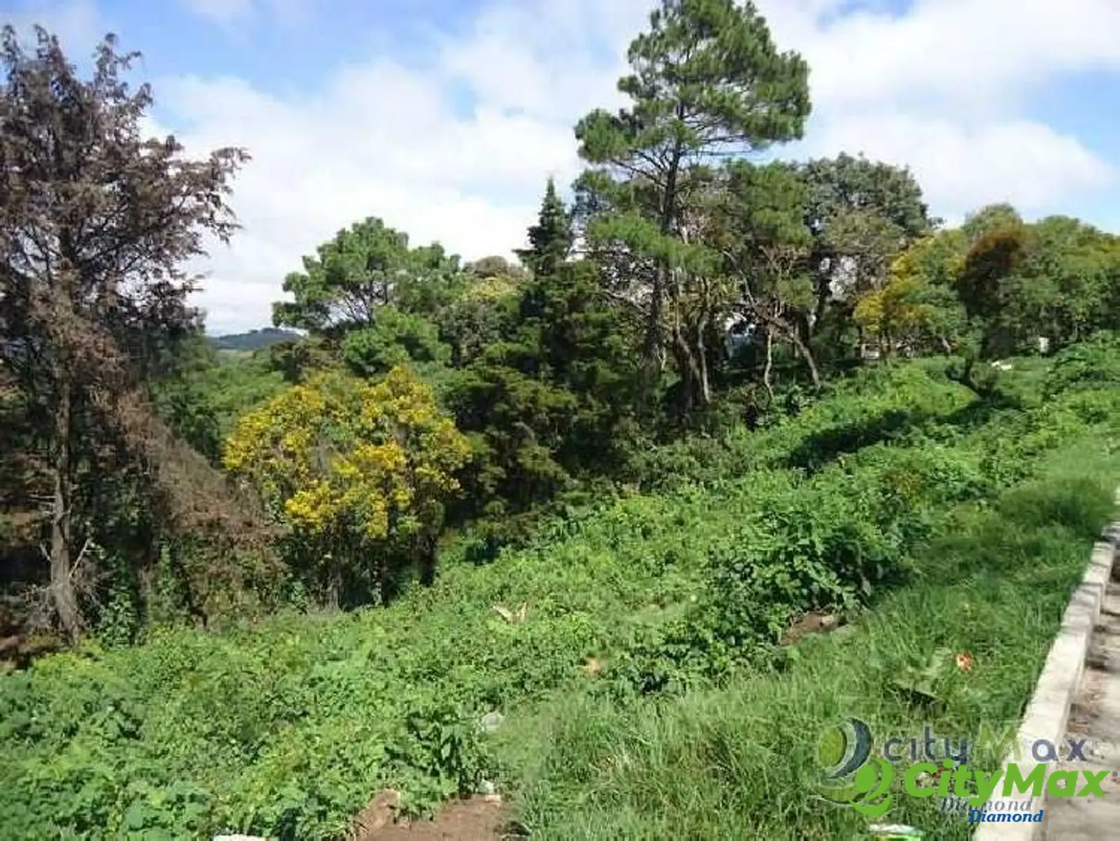 Venta Terreno en Aldea La Cumbre Villa Canales - foto 8