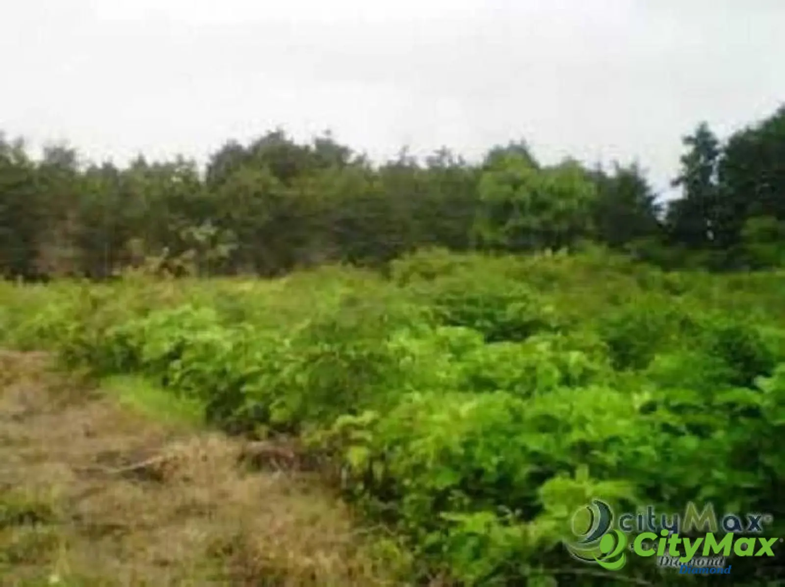 Terreno en Venta en Carretera Salvador km. 22.5 - foto 6